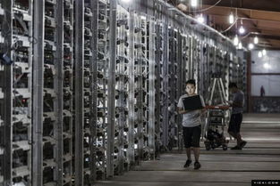 An overview of a mining rig setup enhanced by the A4 backend for efficient operations